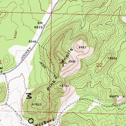 Topographic Map of Pink Knolls, UT