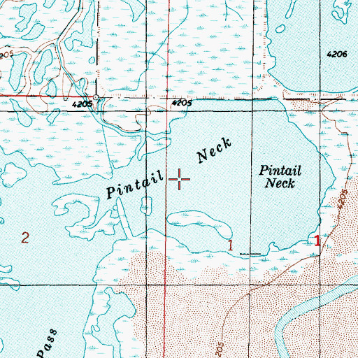 Topographic Map of Pintail Neck, UT