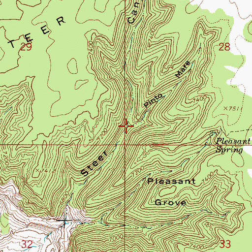 Topographic Map of Pinto Mare, UT