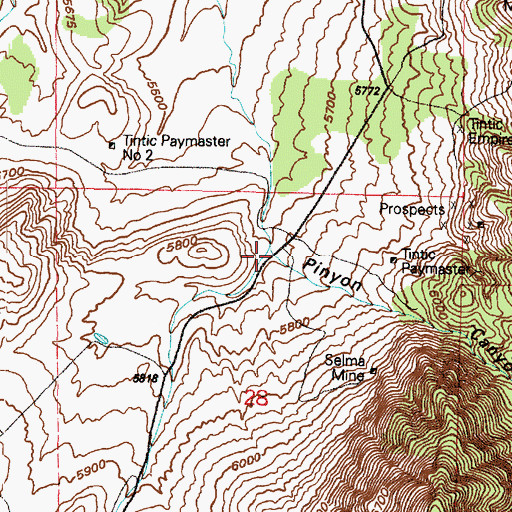 Topographic Map of Pinyon Canyon, UT