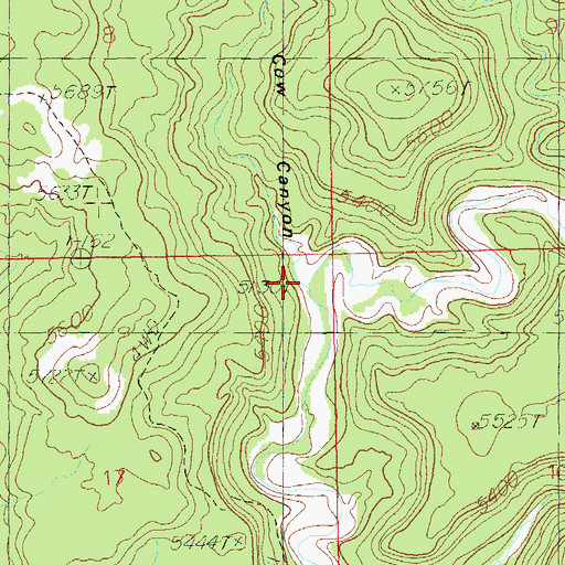 Topographic Map of Poor Cow Canyon, UT