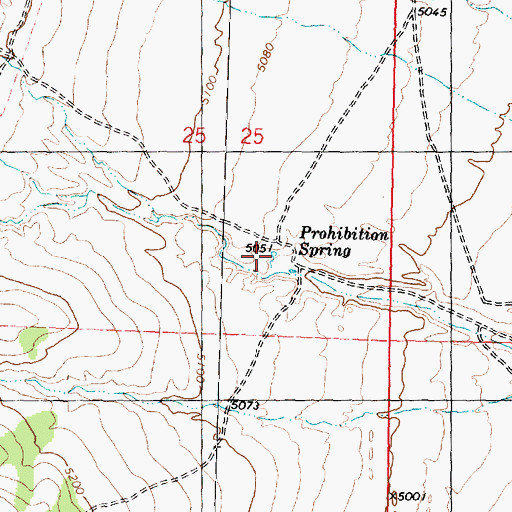 Topographic Map of Prohibition Spring, UT