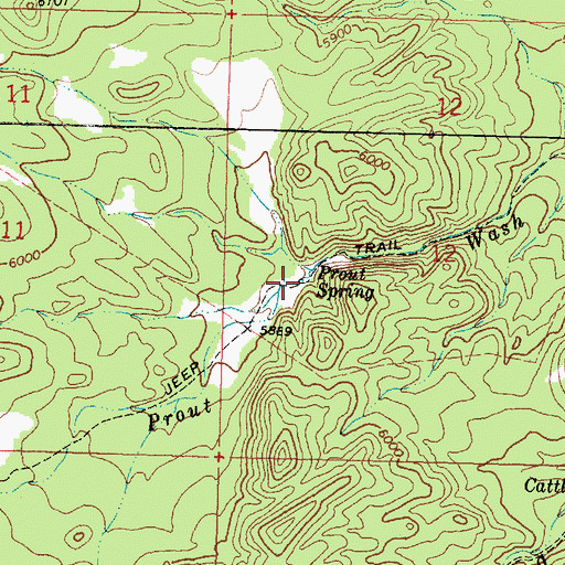 Topographic Map of Prout Spring, UT