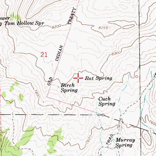 Topographic Map of Rat Spring, UT