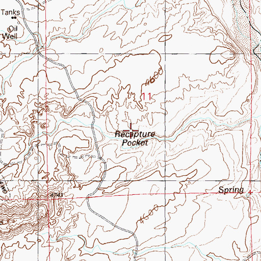 Topographic Map of Recapture Pocket, UT