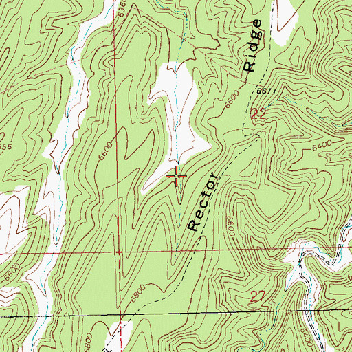 Topographic Map of Rector Ridge, UT