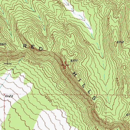 Topographic Map of Red Hills, UT
