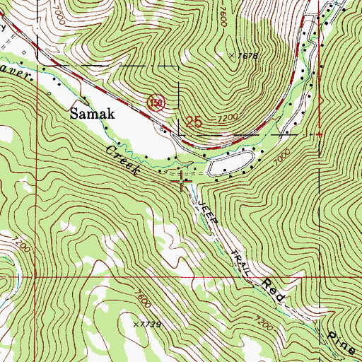 Topographic Map of Red Pine Canyon, UT