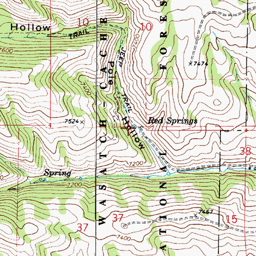 Topographic Map of Red Springs, UT