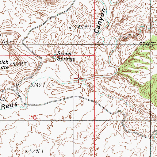 Topographic Map of Reds Canyon, UT