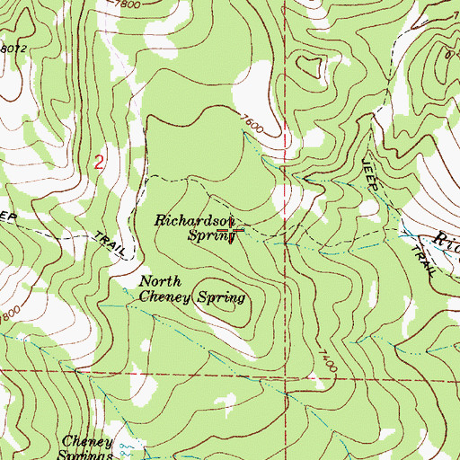 Topographic Map of Richardson Spring, UT