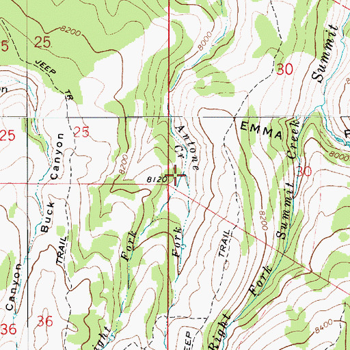Topographic Map of Right Fork Antone Creek, UT