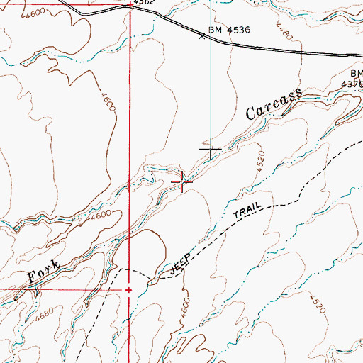 Topographic Map of Right Fork Carcass Wash, UT