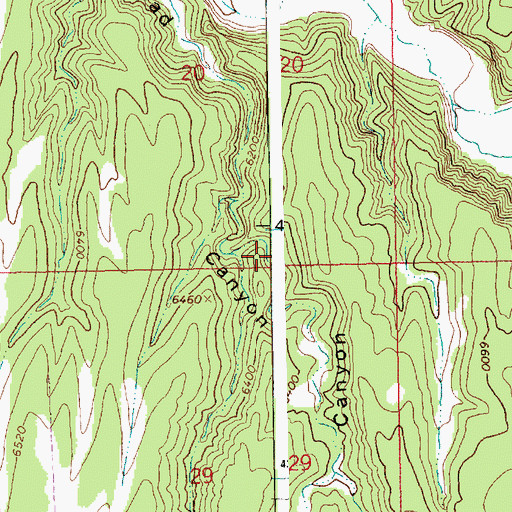 Topographic Map of Road Canyon, UT