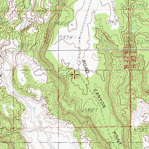 Topographic Map of Road Canyon Point, UT