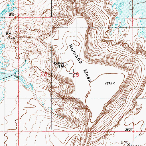 Topographic Map of Romana Mesa, UT