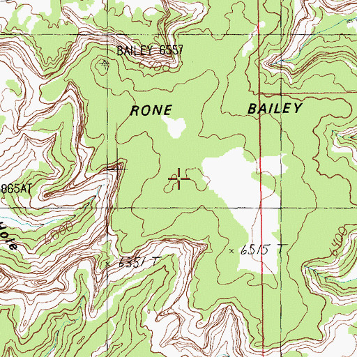 Topographic Map of Rone Bailey Mesa, UT