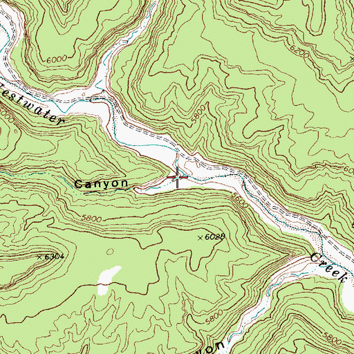 Topographic Map of Rough Canyon, UT