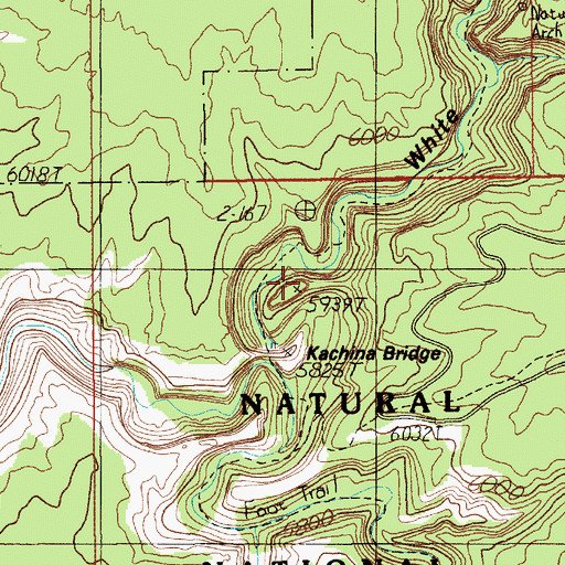 Topographic Map of Ruin Rock, UT