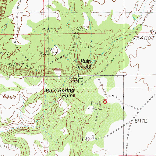 Topographic Map of Ruin Spring Point, UT