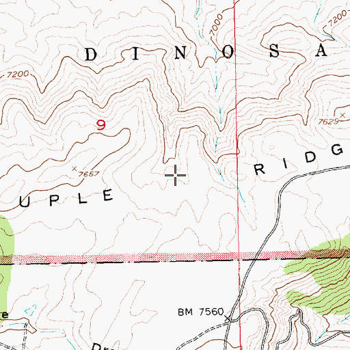 Topographic Map of Ruple Ridge, UT