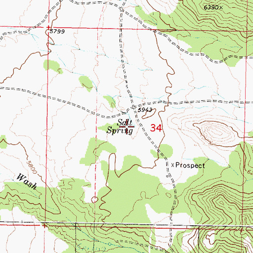 Topographic Map of Salt Spring, UT
