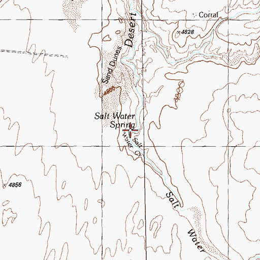 Topographic Map of Salt Water Creek, UT