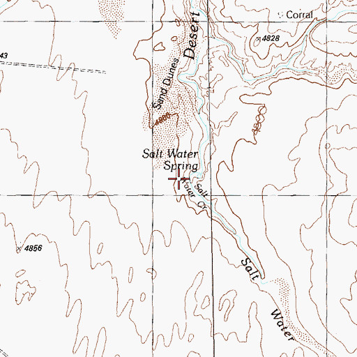 Topographic Map of Salt Water Spring, UT