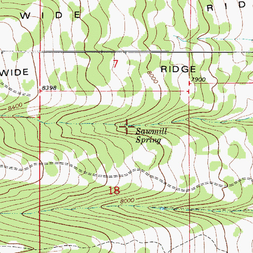 Topographic Map of Sawmill Spring, UT