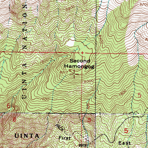 Topographic Map of Second Hamongog, UT