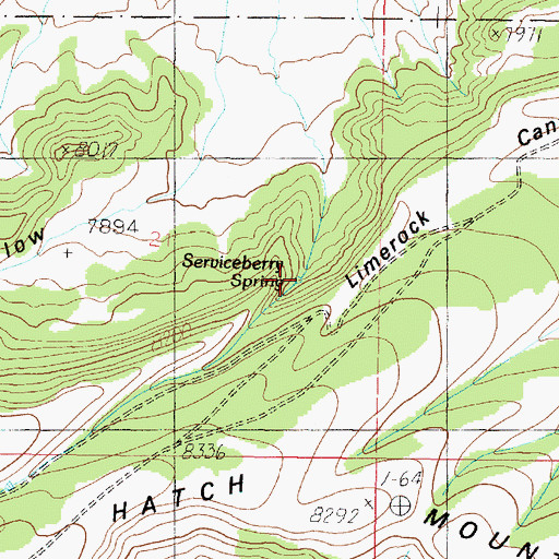 Topographic Map of Serviceberry Spring, UT
