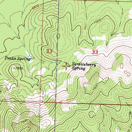 Topographic Map of Serviceberry Spring, UT