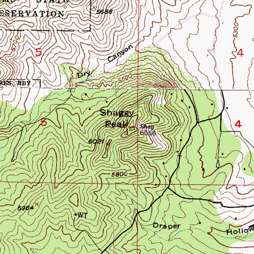 Topographic Map of Shaggy Peak, UT