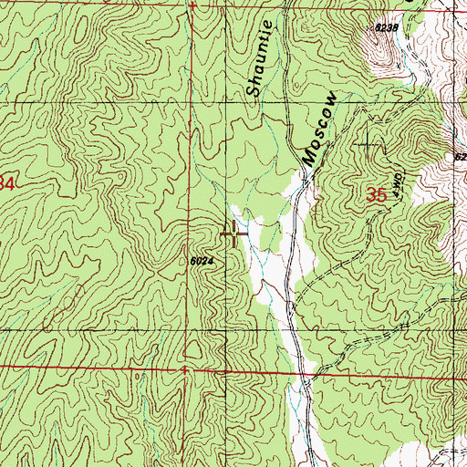 Topographic Map of Shauntie Wash, UT