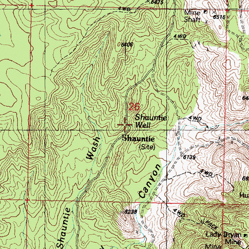 Topographic Map of Shauntie Well, UT