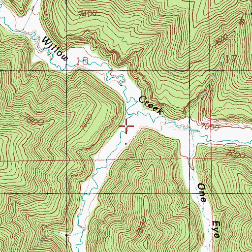 Topographic Map of She Canyon, UT