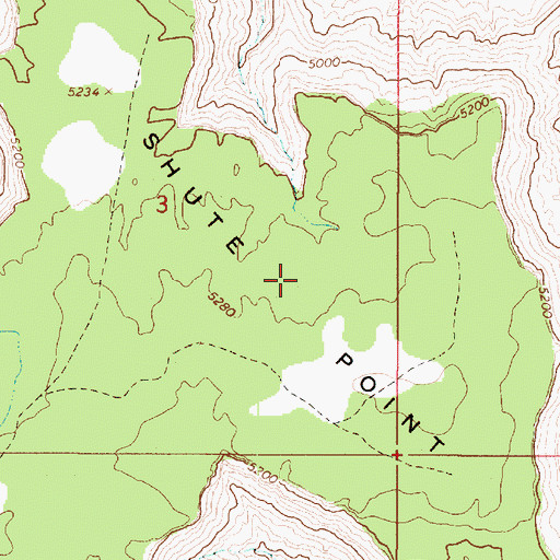 Topographic Map of Shute Point, UT