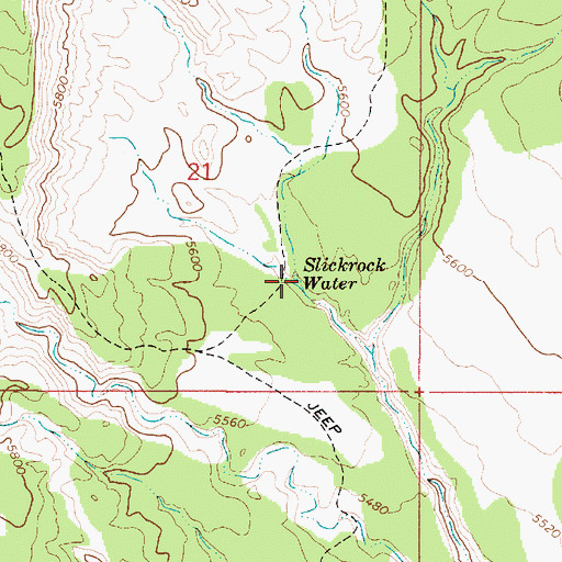 Topographic Map of Slickrock Water, UT