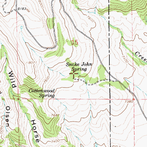 Topographic Map of Snake John Spring, UT