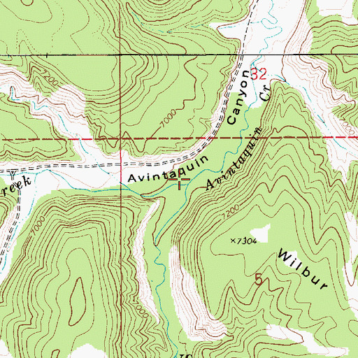 Topographic Map of South Fork Avintaquin Creek, UT