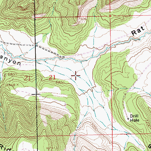 Topographic Map of South Rat Hole Canyon, UT