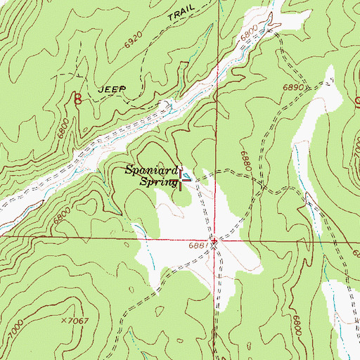 Topographic Map of Spaniard Spring, UT