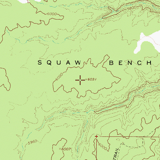 Topographic Map of Squaw Bench, UT