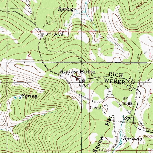 Topographic Map of Squaw Butte, UT