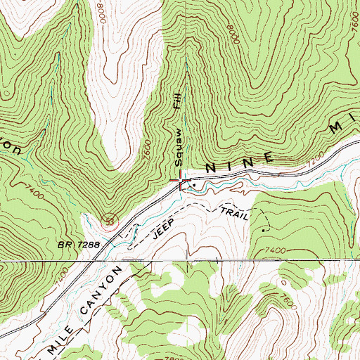 Topographic Map of Squaw Fill, UT