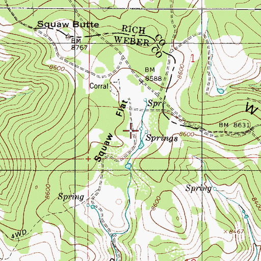 Topographic Map of Squaw Flat, UT
