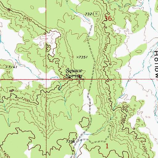Topographic Map of Squaw Spring, UT