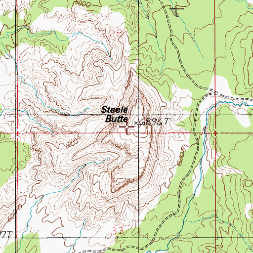 Topographic Map of Steele Butte, UT