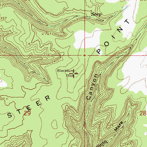 Topographic Map of Steer Point, UT