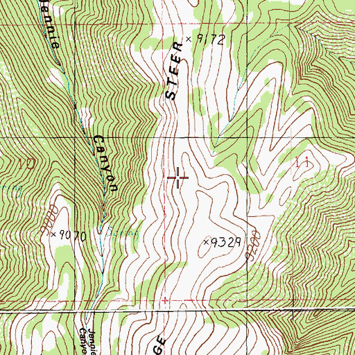Topographic Map of Steer Ridge, UT